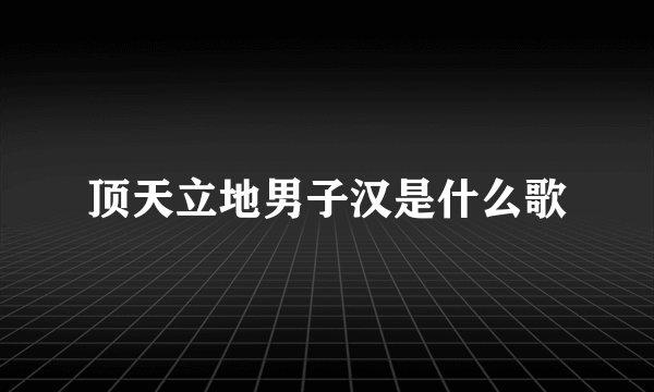 顶天立地男子汉是什么歌