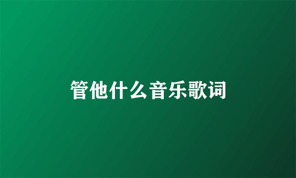 管他什么音乐歌词