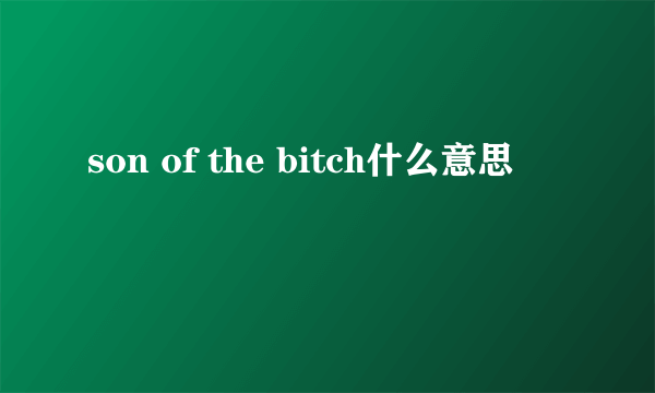 son of the bitch什么意思