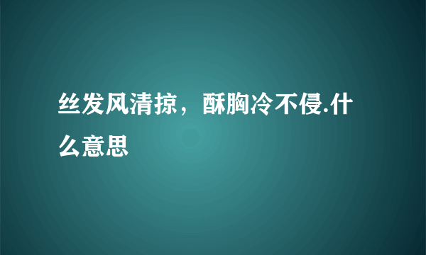 丝发风清掠，酥胸冷不侵.什么意思