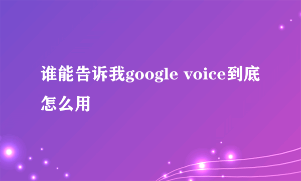 谁能告诉我google voice到底怎么用