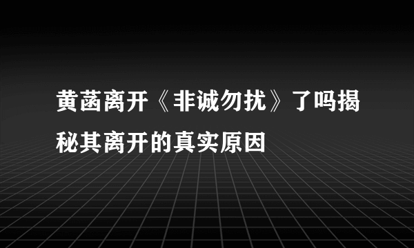 黄菡离开《非诚勿扰》了吗揭秘其离开的真实原因