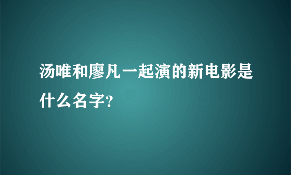 汤唯和廖凡一起演的新电影是什么名字？