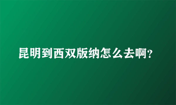 昆明到西双版纳怎么去啊？