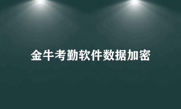 金牛考勤软件数据加密