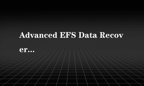 Advanced EFS Data Recovery 4.0 注册码