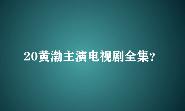 20黄渤主演电视剧全集？