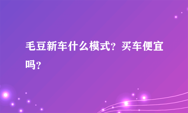 毛豆新车什么模式？买车便宜吗？