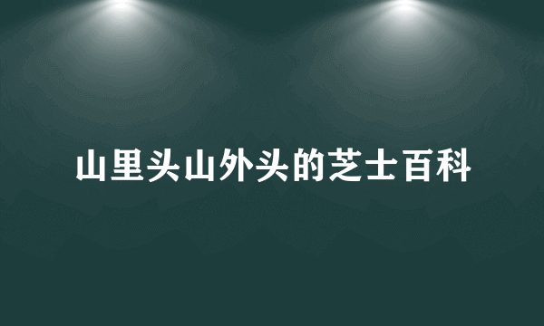 山里头山外头的芝士百科