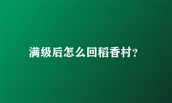 满级后怎么回稻香村？