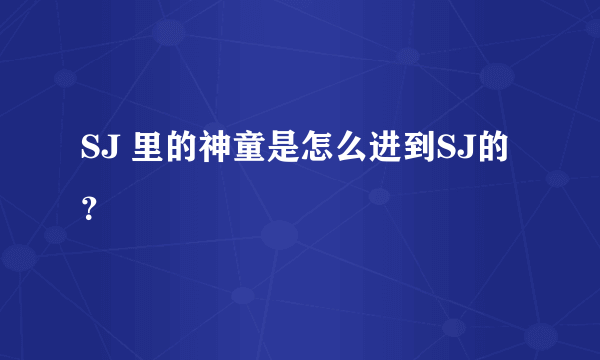 SJ 里的神童是怎么进到SJ的？