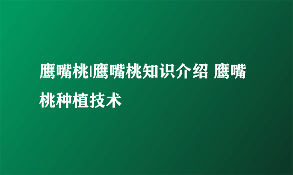 鹰嘴桃|鹰嘴桃知识介绍 鹰嘴桃种植技术