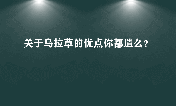 关于乌拉草的优点你都造么？