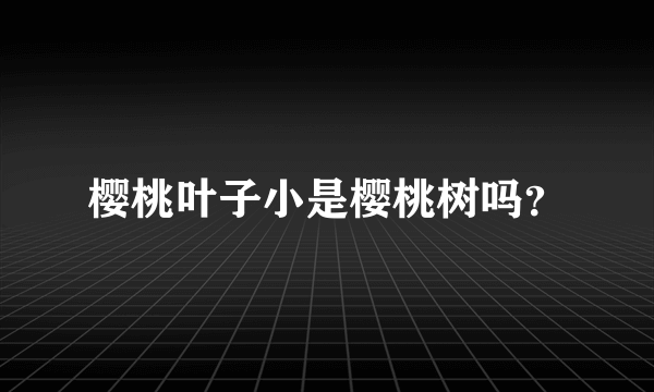 樱桃叶子小是樱桃树吗？