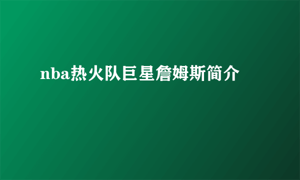 nba热火队巨星詹姆斯简介