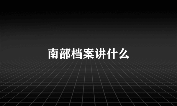 南部档案讲什么