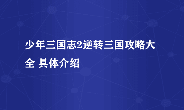 少年三国志2逆转三国攻略大全 具体介绍