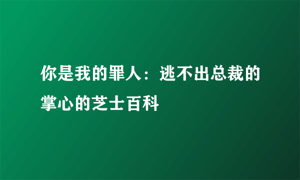 你是我的罪人：逃不出总裁的掌心的芝士百科