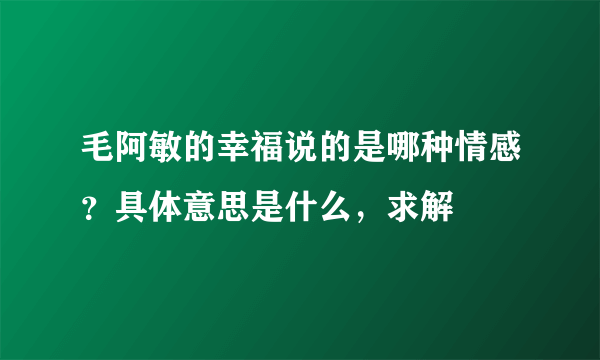 毛阿敏的幸福说的是哪种情感？具体意思是什么，求解