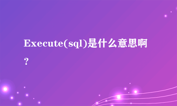 Execute(sql)是什么意思啊？