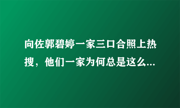 向佐郭碧婷一家三口合照上热搜，他们一家为何总是这么受关注？