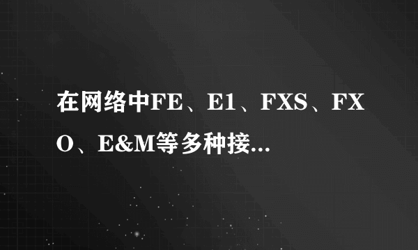 在网络中FE、E1、FXS、FXO、E&M等多种接口，每个是什么意思，谢谢