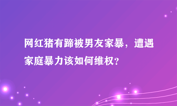 网红猪有蹄被男友家暴，遭遇家庭暴力该如何维权？