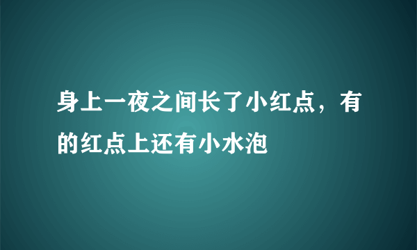 身上一夜之间长了小红点，有的红点上还有小水泡