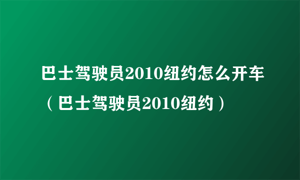 巴士驾驶员2010纽约怎么开车（巴士驾驶员2010纽约）