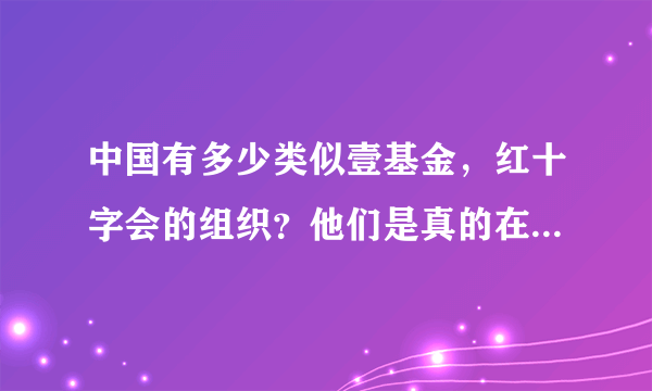 中国有多少类似壹基金，红十字会的组织？他们是真的在做慈善吗？