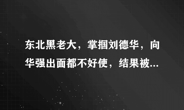 东北黑老大，掌掴刘德华，向华强出面都不好使，结果被赵本山摆平