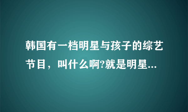 韩国有一档明星与孩子的综艺节目，叫什么啊?就是明星和自己的孩子共同参与的节目？