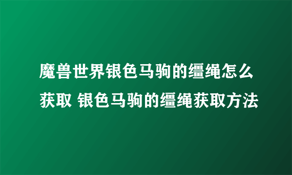 魔兽世界银色马驹的缰绳怎么获取 银色马驹的缰绳获取方法