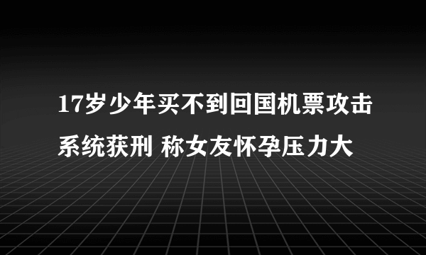 17岁少年买不到回国机票攻击系统获刑 称女友怀孕压力大