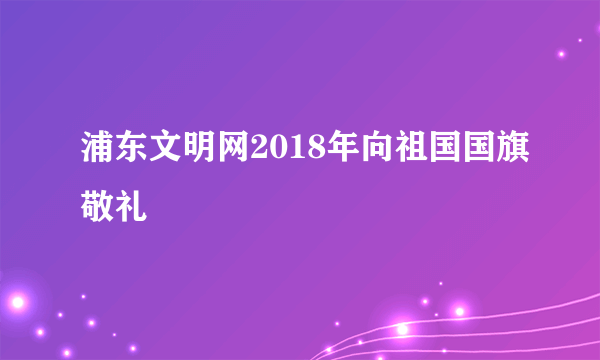 浦东文明网2018年向祖国国旗敬礼