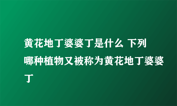 黄花地丁婆婆丁是什么 下列哪种植物又被称为黄花地丁婆婆丁