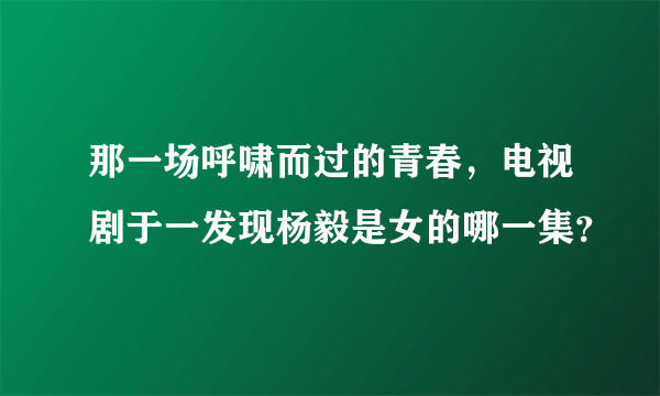 那一场呼啸而过的青春，电视剧于一发现杨毅是女的哪一集？