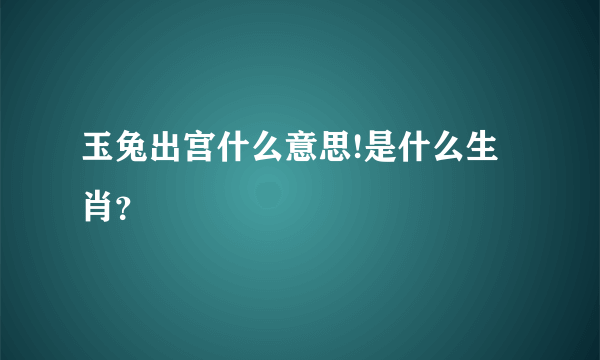 玉兔出宫什么意思!是什么生肖？