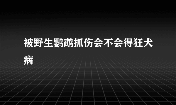 被野生鹦鹉抓伤会不会得狂犬病