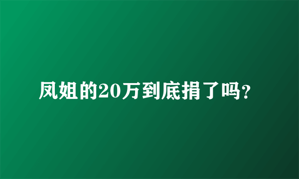 凤姐的20万到底捐了吗？