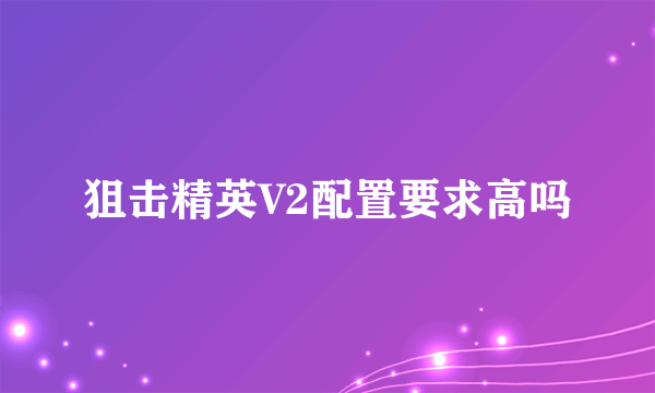 狙击精英V2配置要求高吗