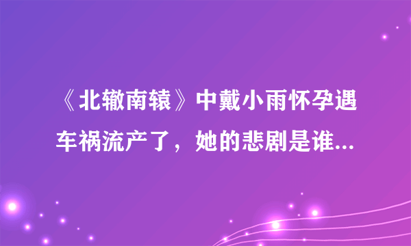 《北辙南辕》中戴小雨怀孕遇车祸流产了，她的悲剧是谁造成的？