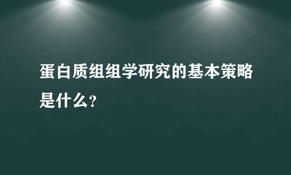 蛋白质组组学研究的基本策略是什么？