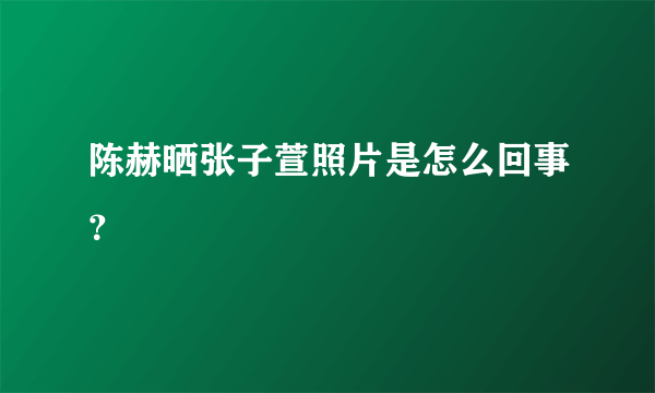 陈赫晒张子萱照片是怎么回事？