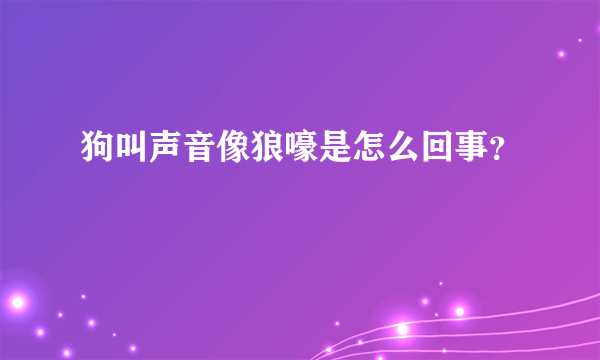 狗叫声音像狼嚎是怎么回事？