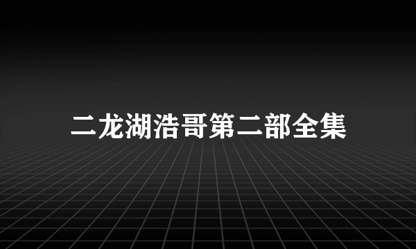 二龙湖浩哥第二部全集