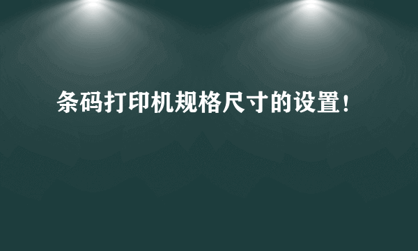 条码打印机规格尺寸的设置！