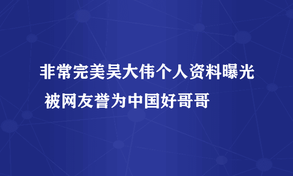 非常完美吴大伟个人资料曝光 被网友誉为中国好哥哥