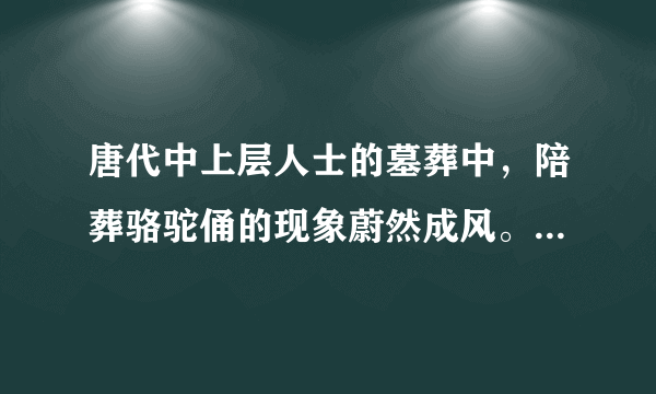 唐代中上层人士的墓葬中，陪葬骆驼俑的现象蔚然成风。许多陶骆驼背上驮着丝绸，驭手几乎都是表情各异的胡人，做工精美异常。由此可见，唐代（　　）A.社会贫富差距悬殊B.对外交流影响社会习俗C.民间手工业很发达D.中外经济文化交流频繁