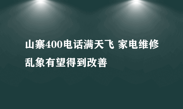 山寨400电话满天飞 家电维修乱象有望得到改善